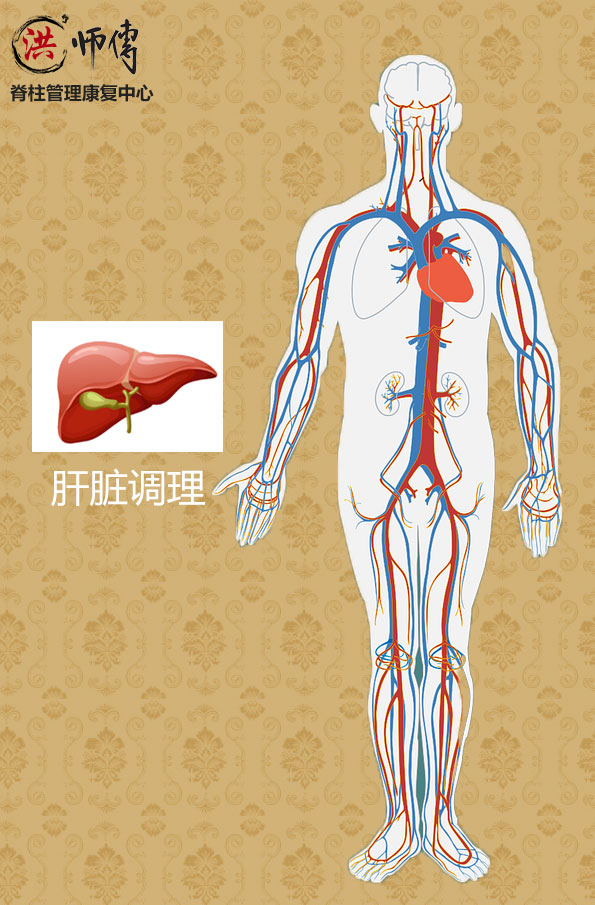 肝脏调理 肝脏调理